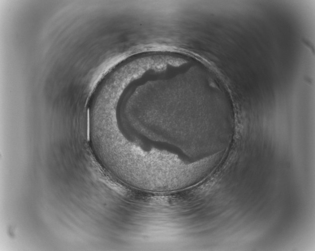 X0000103951223200810031338