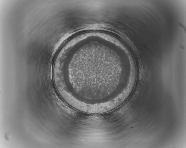 X0000103951224200810031338