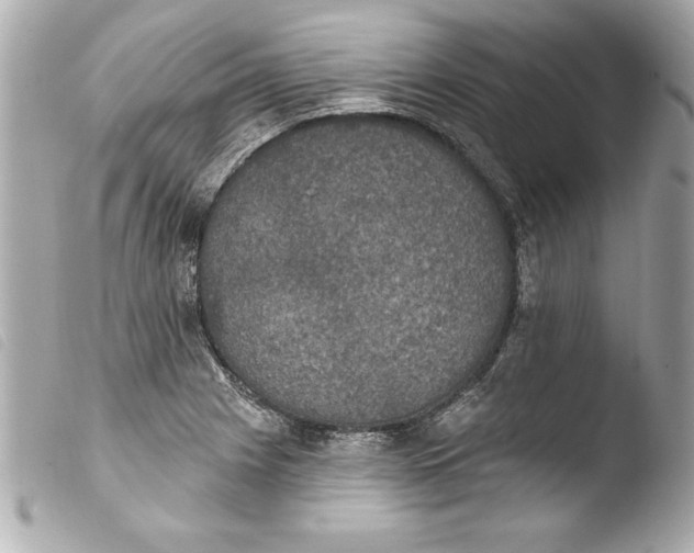 X0000103951225200810031338