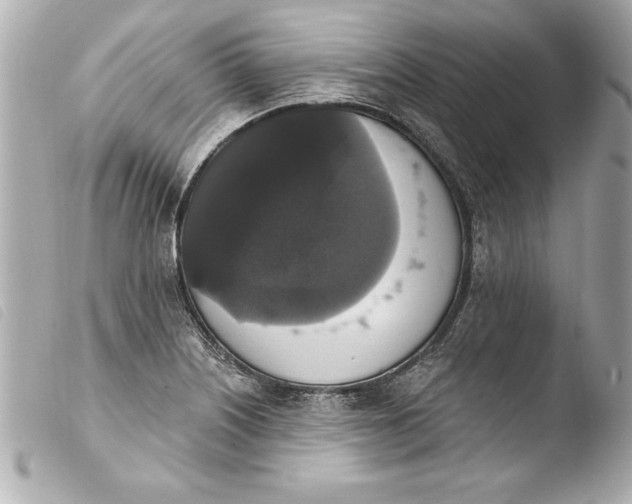 X0000103951226200810031338