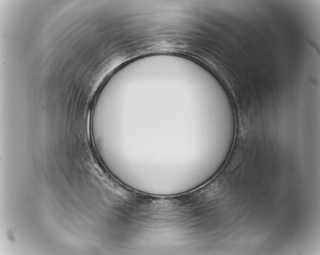 X0000103951227200810031338