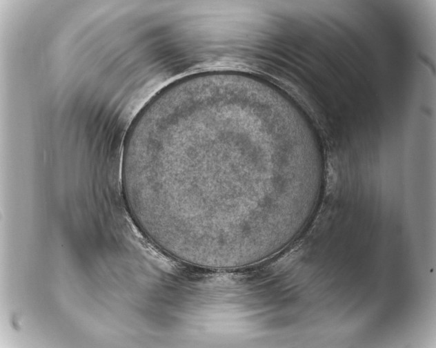 X0000103951228200810031338