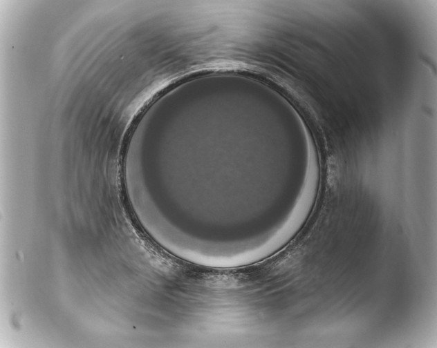 X0000103951229200810031338