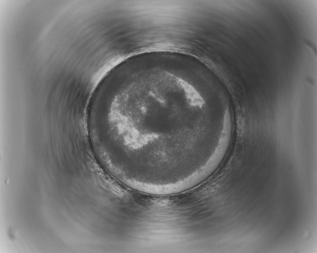 X0000103951230200810031338