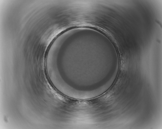 X0000103951231200810031338