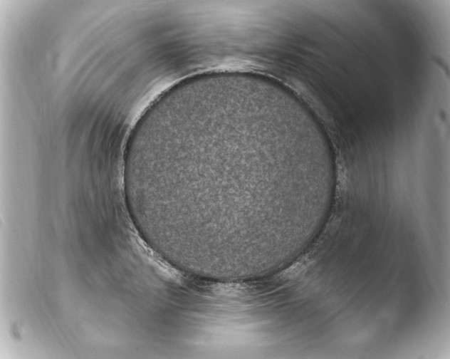 X0000103951232200810031338