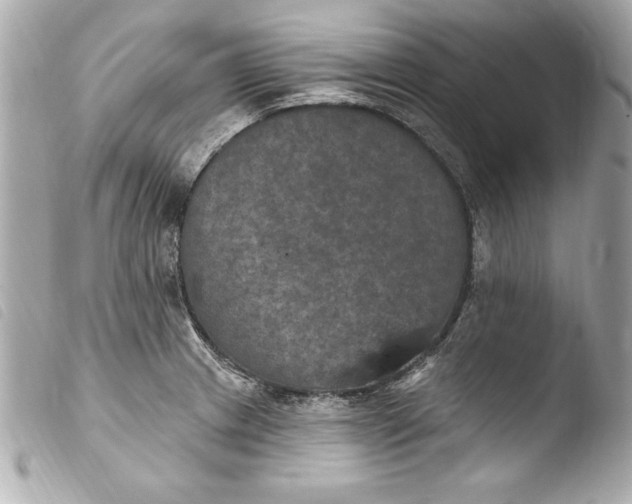 X0000103951233200810031338