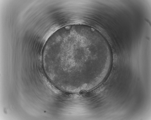 X0000103951234200810031338