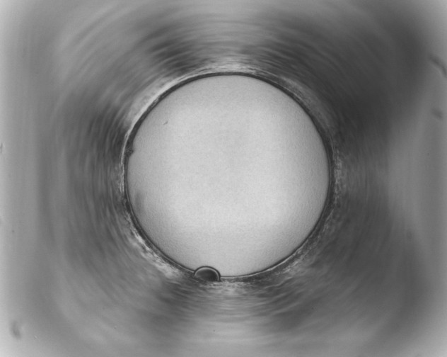 X0000103951236200810031338