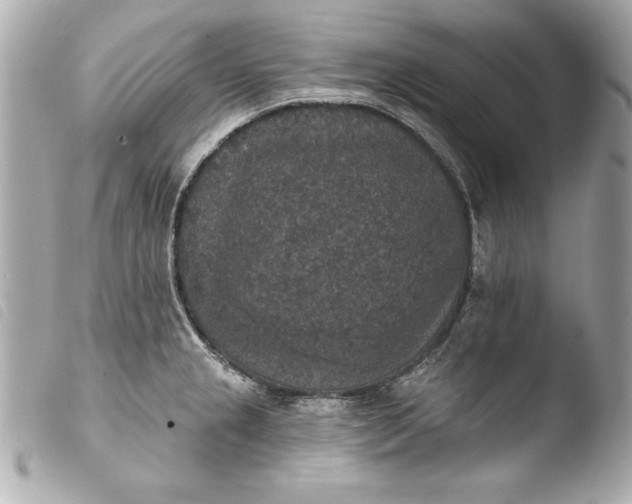 X0000103951237200810031338