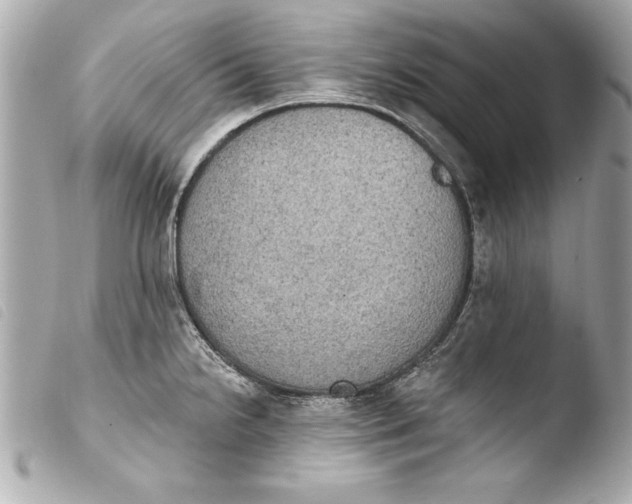 X0000103951238200810031338