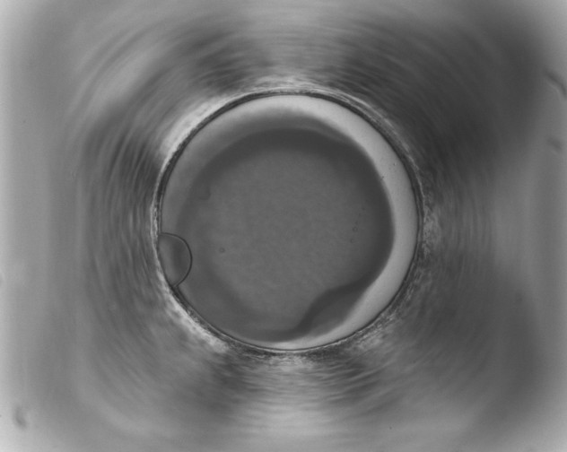 X0000103951239200810031338