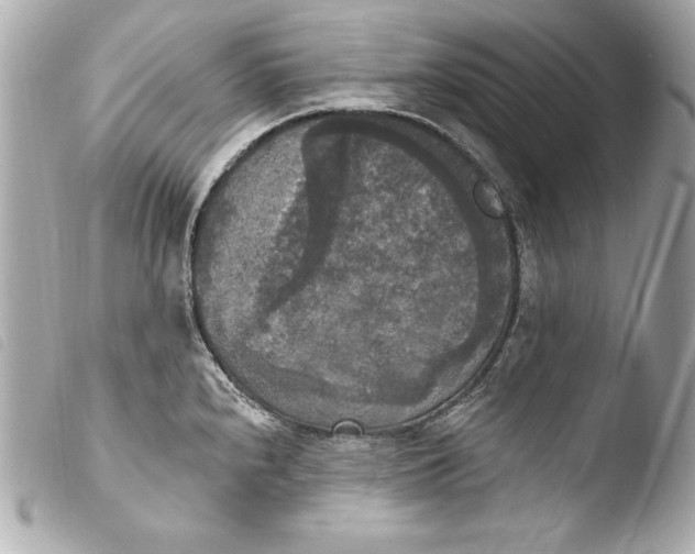 X0000103951240200810031338