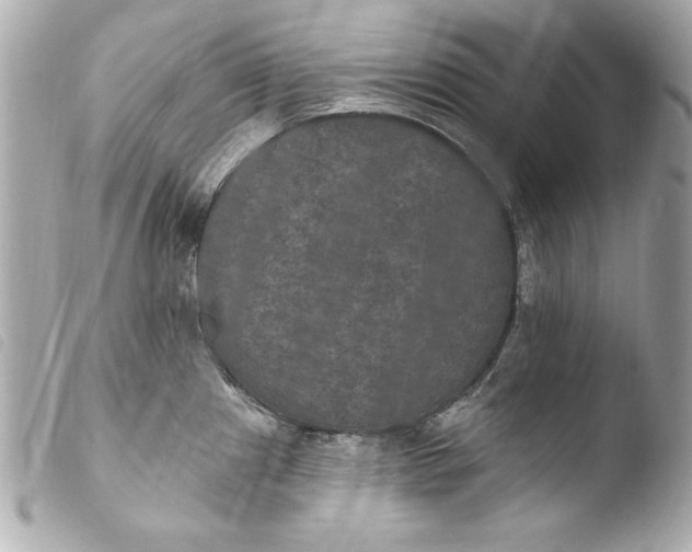 X0000103951241200810031338