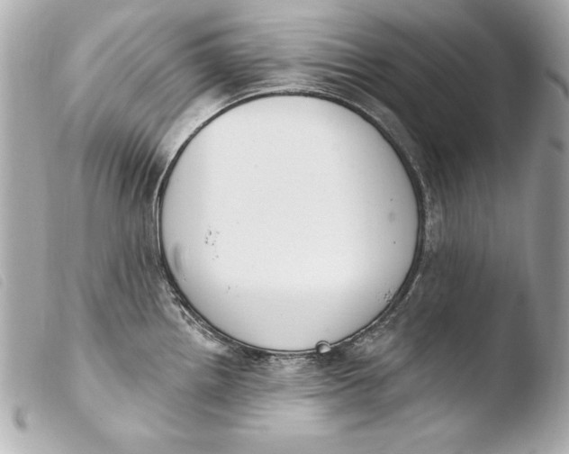 X0000103951242200810031338