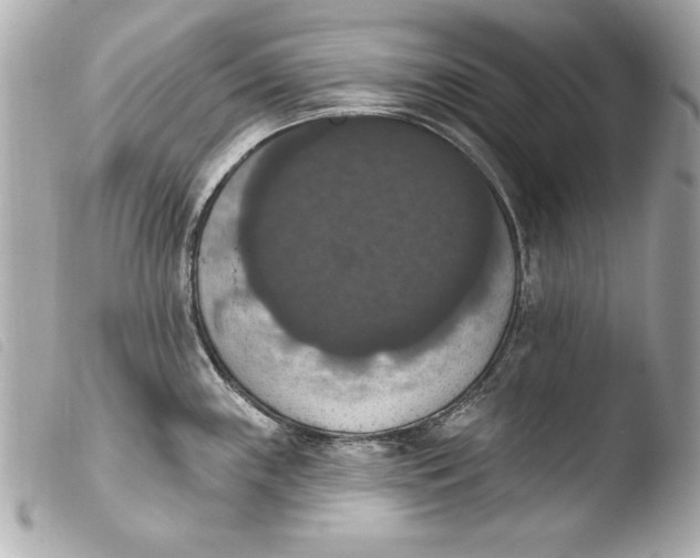 X0000103951243200810031338