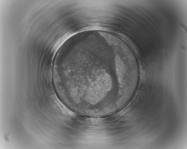 X0000103951244200810031338