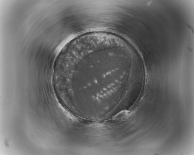 X0000103951245200810031338