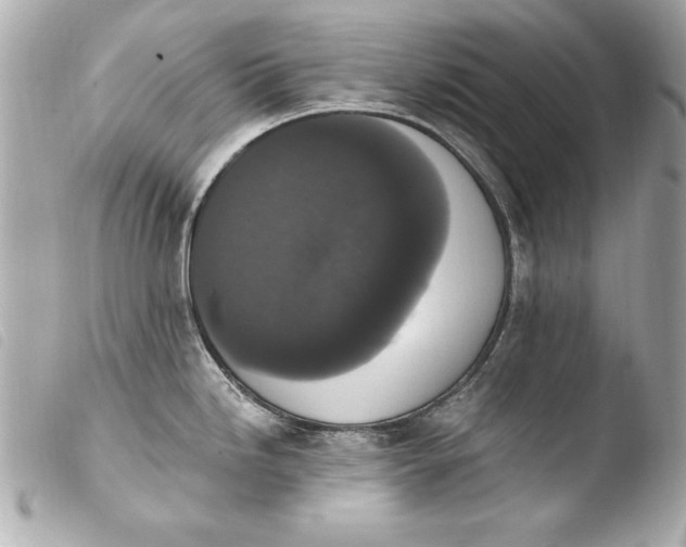 X0000103951246200810031338