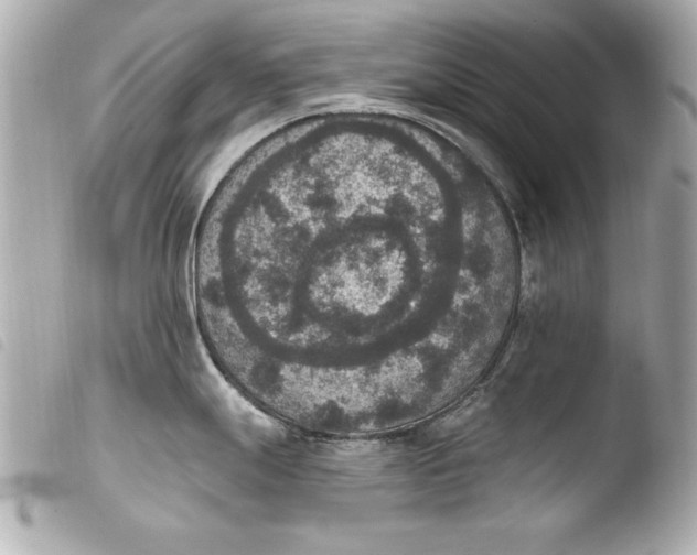 X0000103951247200810031338