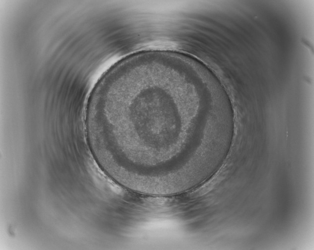 X0000103951248200810031338