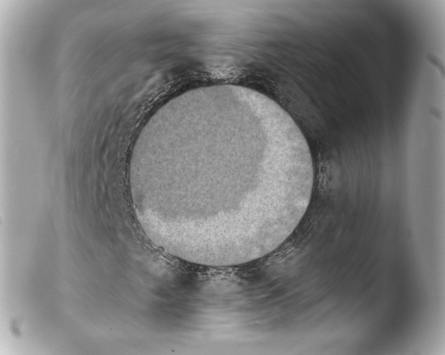 X0000103951249200810031337