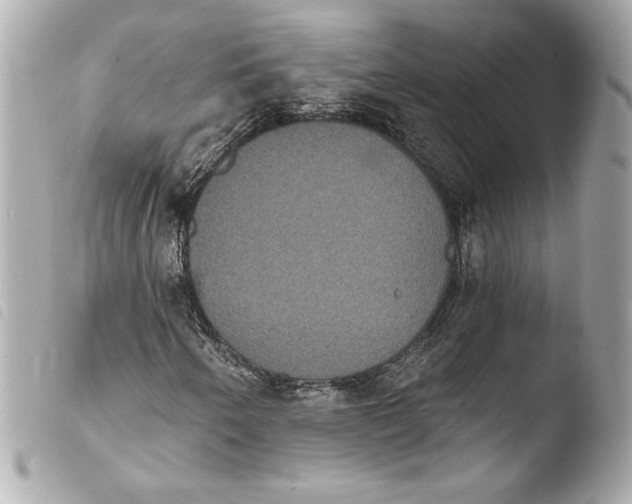 X0000103951250200810031337