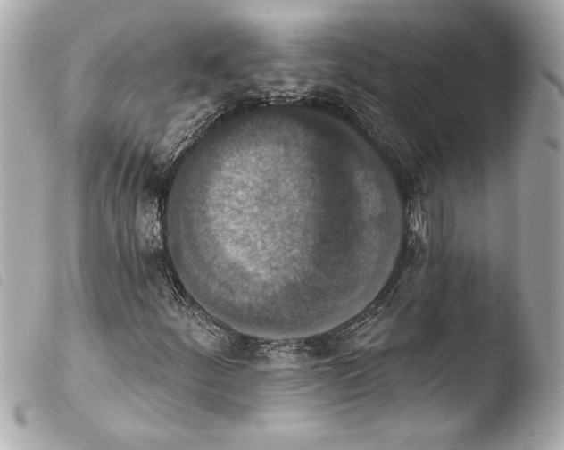 X0000103951252200810031337