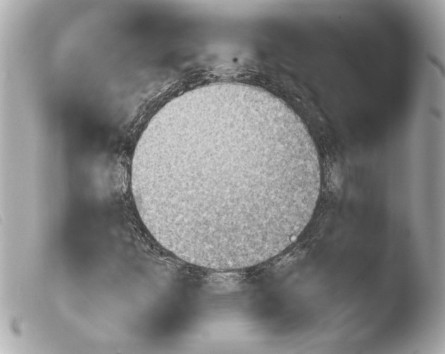 X0000103951253200810031337