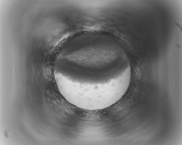 X0000103951254200810031337