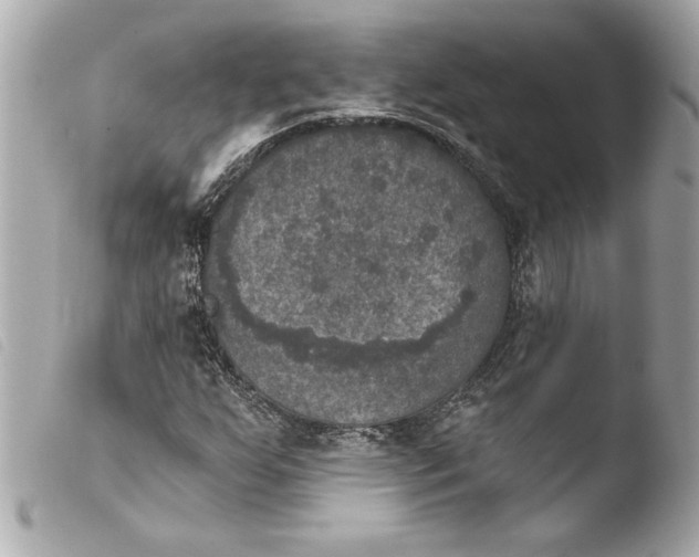 X0000103951255200810031337