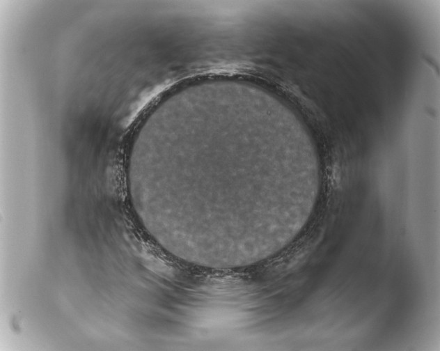 X0000103951256200810031337