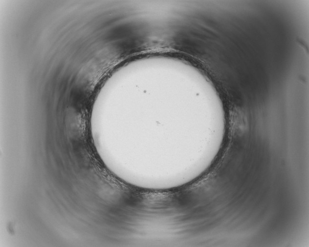 X0000103951257200810031337