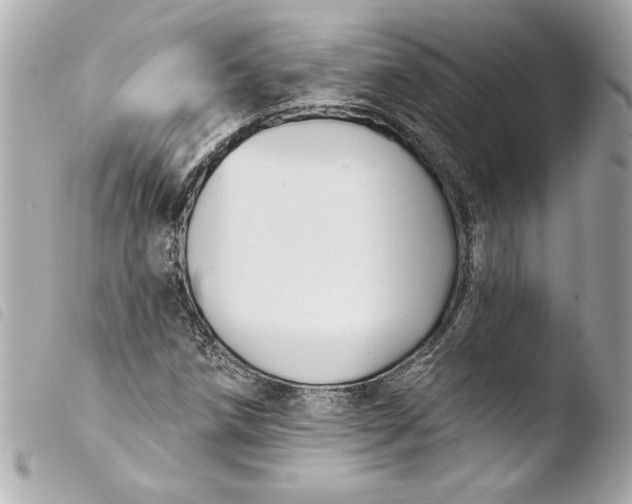 X0000103951258200810031337