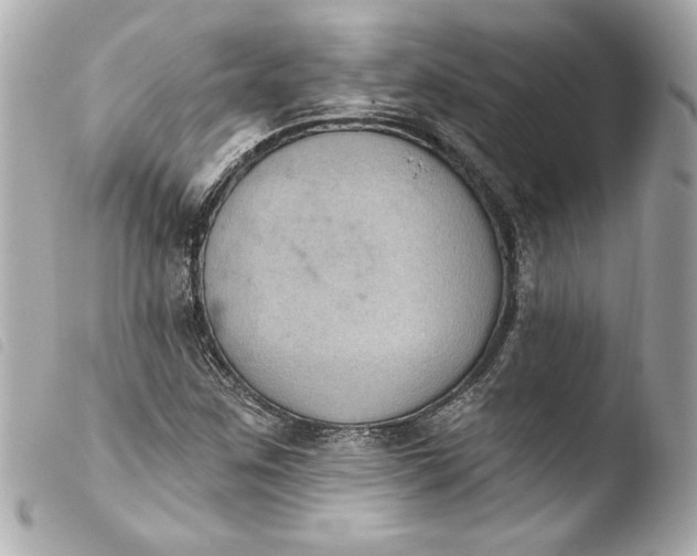 X0000103951259200810031337