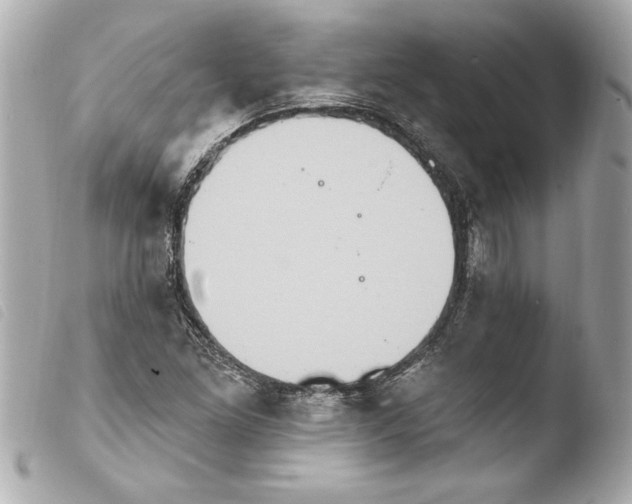 X0000103951261200810031337