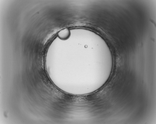 X0000103951262200810031337