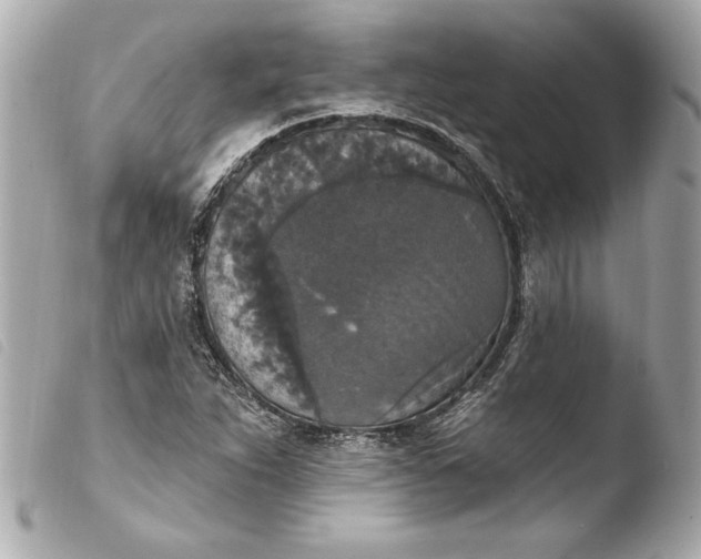 X0000103951263200810031337