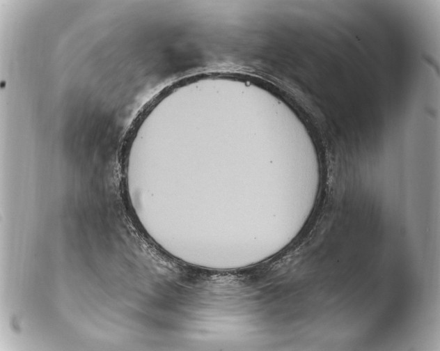 X0000103951264200810031337