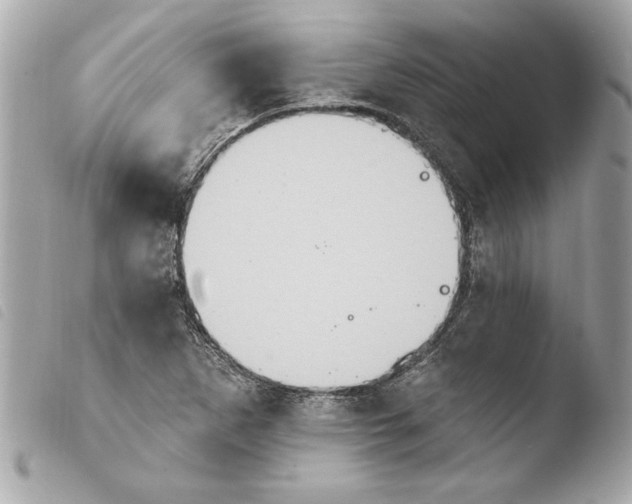 X0000103951265200810031337