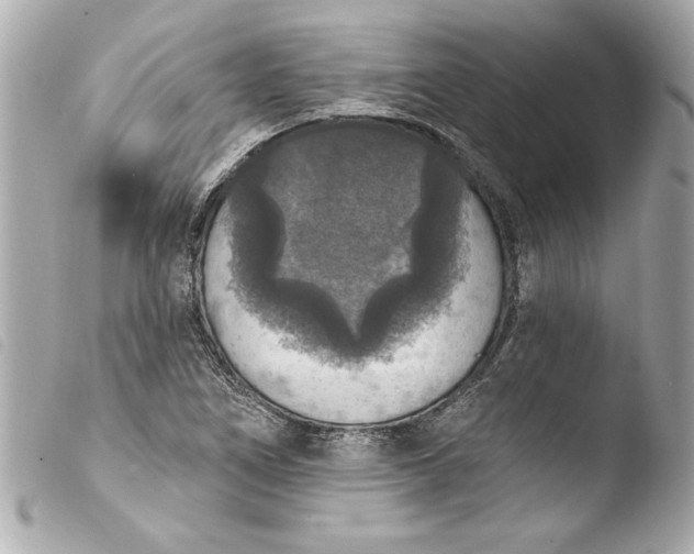 X0000103951266200810031337