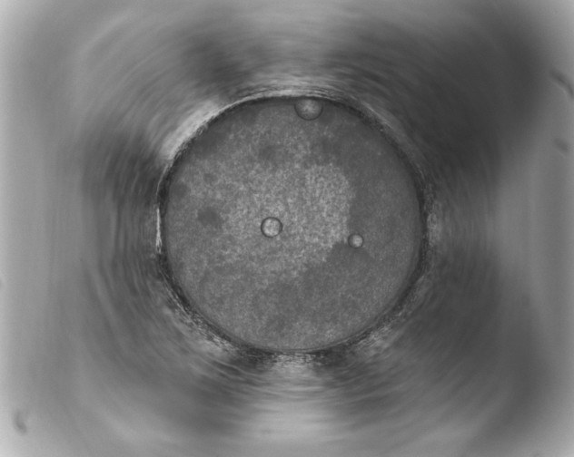 X0000103951267200810031337