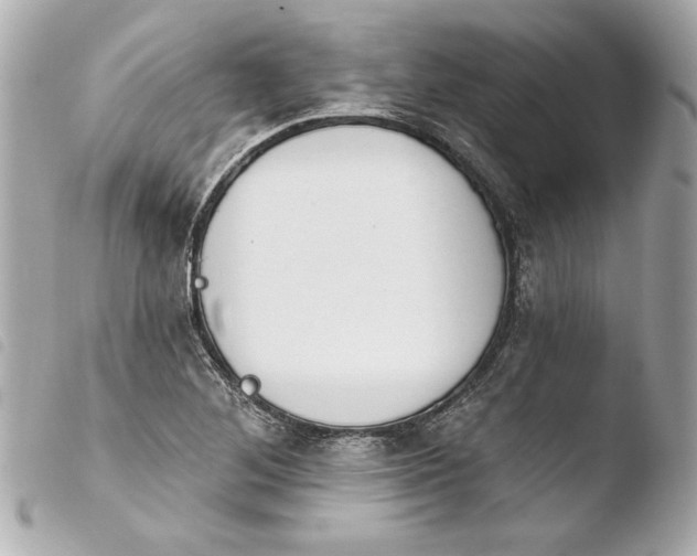 X0000103951268200810031337