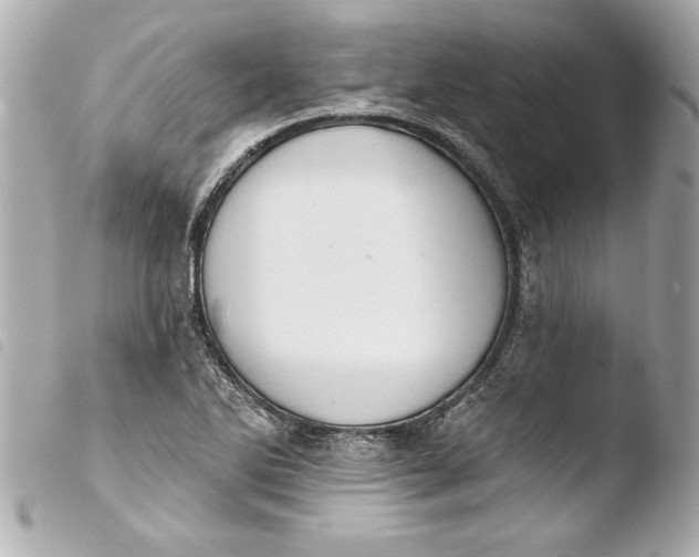 X0000103951270200810031337