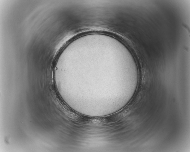 X0000103951271200810031337