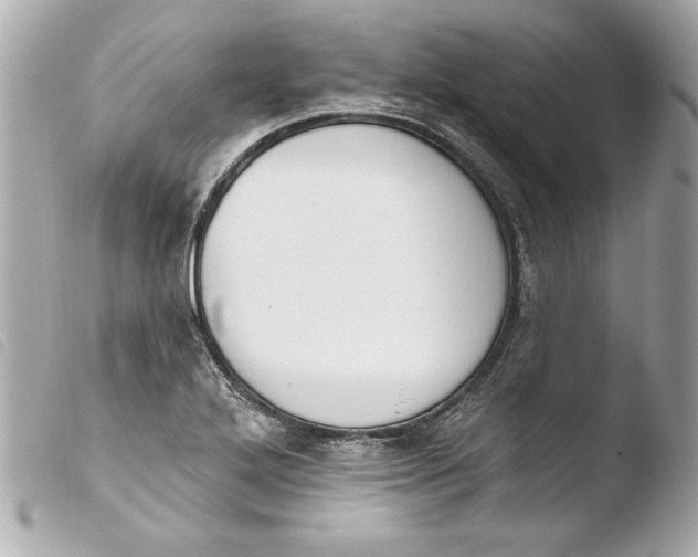 X0000103951272200810031337