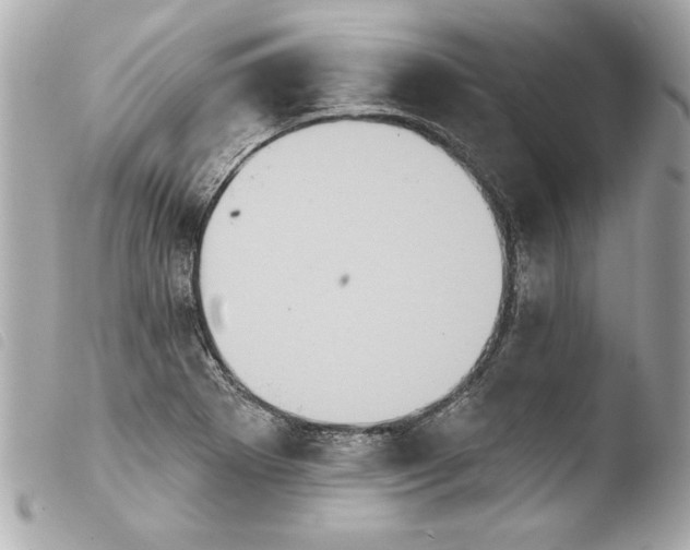 X0000103951273200810031337