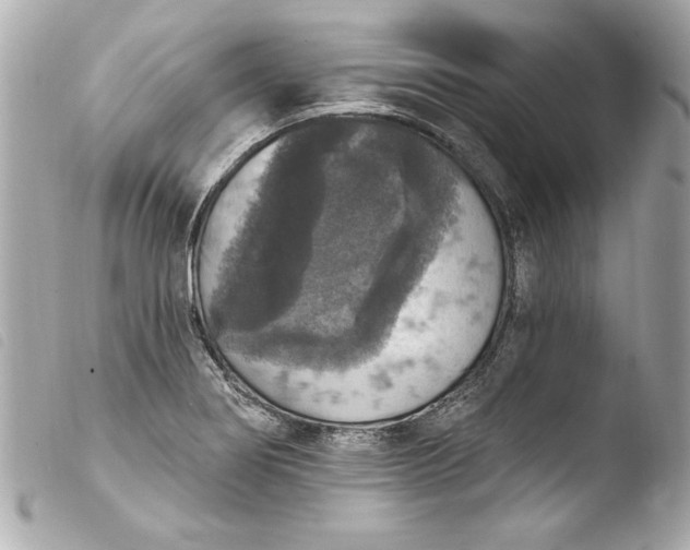 X0000103951274200810031337