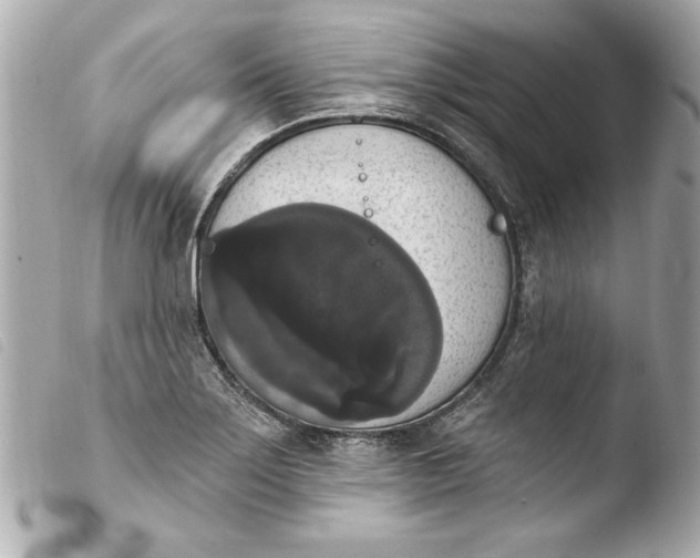 X0000103951275200810031337