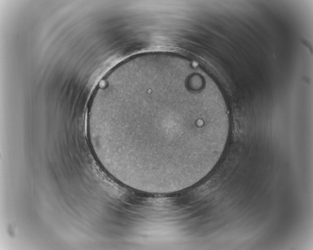 X0000103951276200810031337